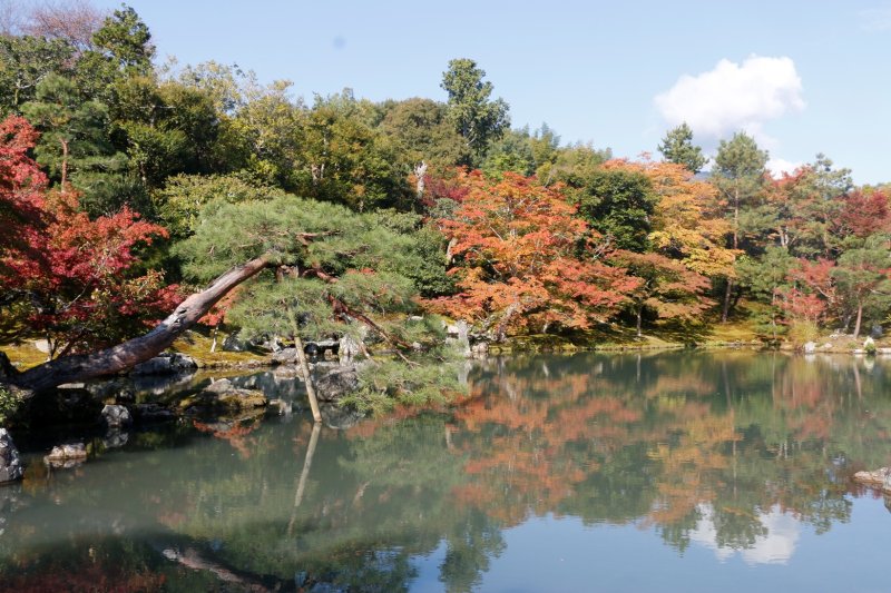 Japonska - Arashiyama